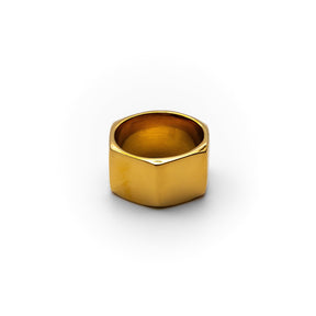 Anel Masculino Dourado Brutus